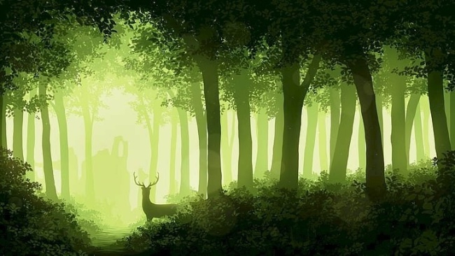 Hình ảnh Tranh dán tường 3D rừng cây 10